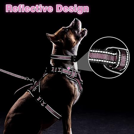 Pet Collar & Leash Set for Medium-Large Dogs | Reflective Strip, Thickened Nylon - Image 1