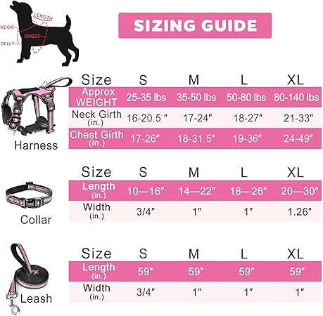 Pet Collar & Leash Set for Medium-Large Dogs | Reflective Strip, Thickened Nylon - Image 1