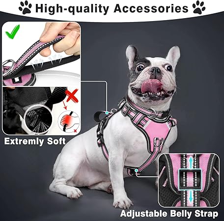 Pet Collar & Leash Set for Medium-Large Dogs | Reflective Strip, Thickened Nylon - Image 1