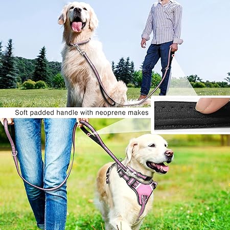 Pet Collar & Leash Set for Medium-Large Dogs | Reflective Strip, Thickened Nylon - Image 1