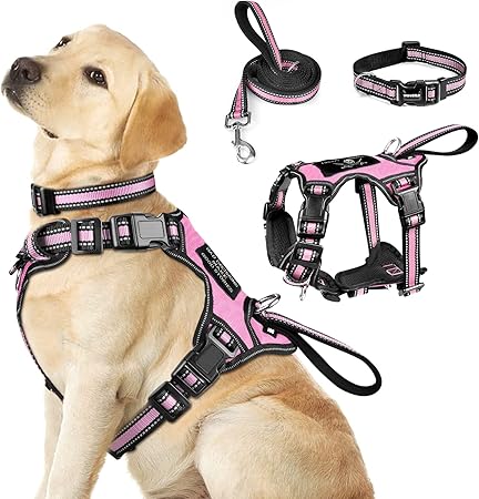 Pet Collar & Leash Set for Medium-Large Dogs | Reflective Strip, Thickened Nylon